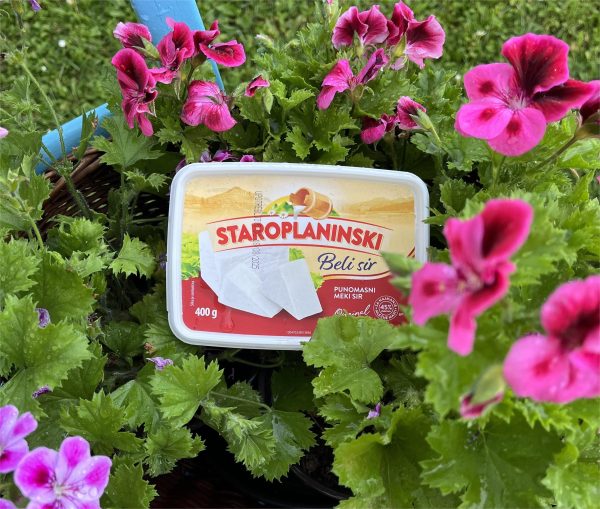 Staroplaninski beli sir