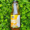 Sirup od zove