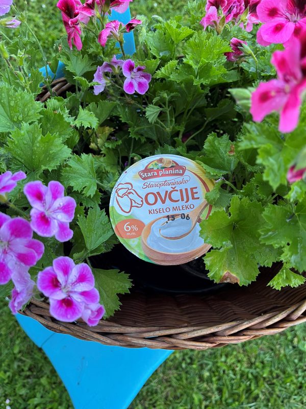 Ovčije kiselo mleko - Image 3